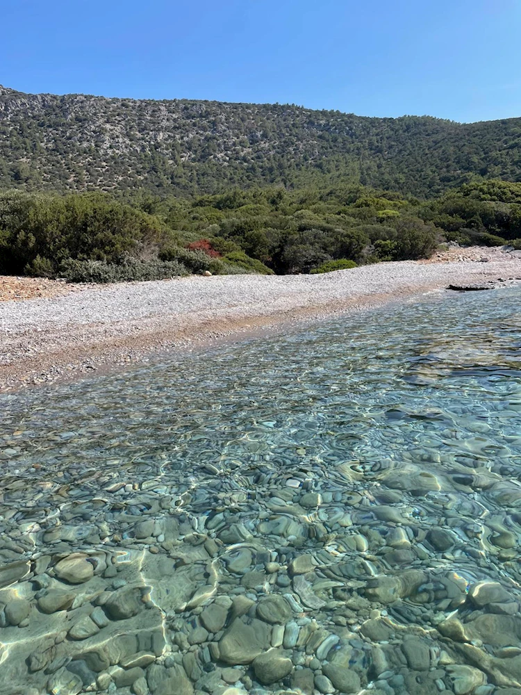 BODRUM BELEDİYESİ
